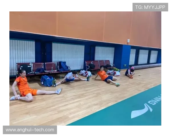 南京羽毛球队与上海羽毛球队赛后复盘团队协作的成功与不足分析